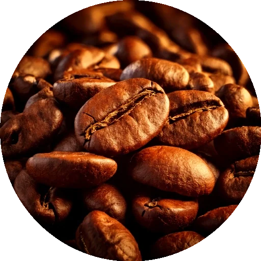 cafe em grao
