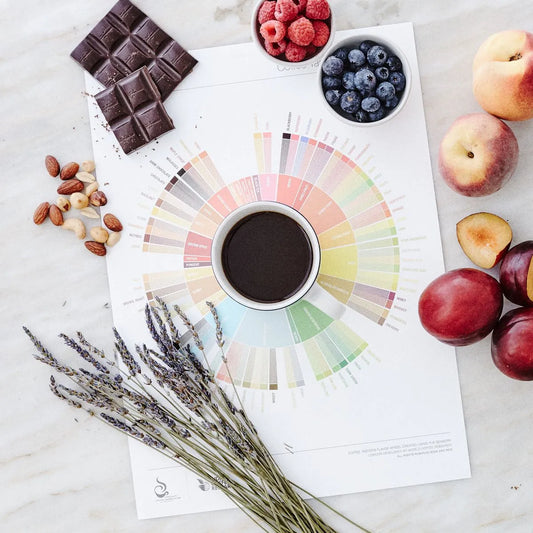 Workshop Análise Sensorial - Criando Memórias Olfativas